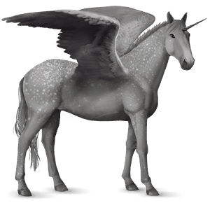 winged riding unicorn black leopard 