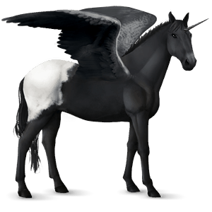 winged riding unicorn friesian black