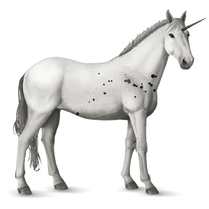 riding unicorn lipizzan light gray