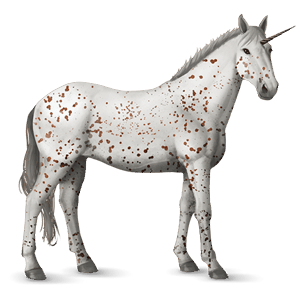 riding unicorn appaloosa chestnut leopard 