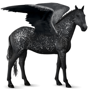 riding pegasus knabstrupper black snowflake 