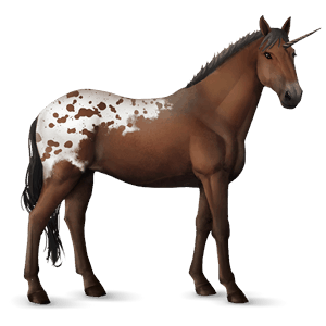 riding unicorn knabstrupper chestnut spotted blanket 