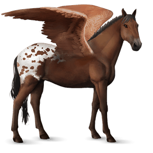 riding pegasus appaloosa palomino spotted blanket 