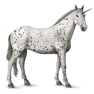 riding unicorn kwpn chestnut