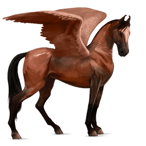 riding pegasus mustang cherry bay
