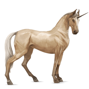 riding unicorn marwari palomino
