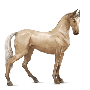 riding horse selle français chestnut