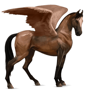 riding pegasus purebred spanish horse dark bay