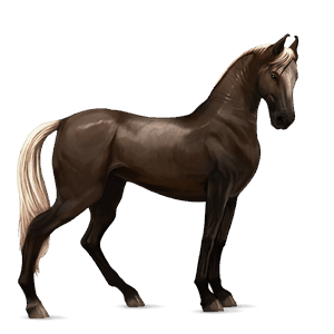 pony flaxen liver chestnut 