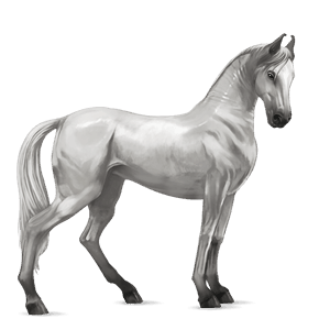 riding horse thoroughbred mouse gray