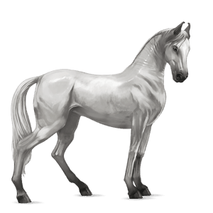 riding horse light gray