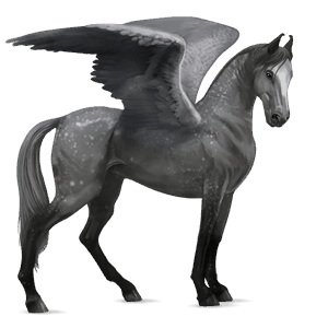 riding pegasus dapple gray