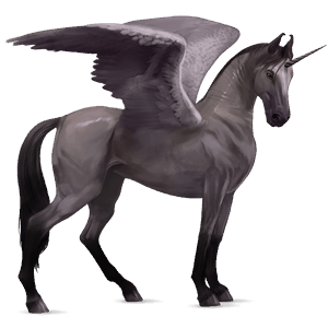 winged riding unicorn arabian horse dark bay