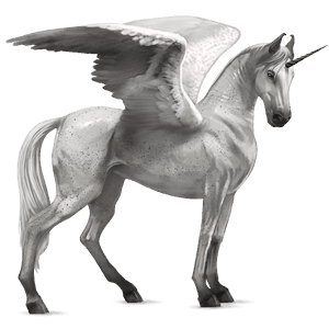 winged riding unicorn brumby cremello