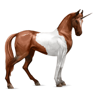 riding unicorn marwari chestnut tobiano