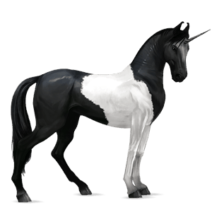 riding unicorn black tobiano