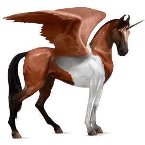 winged riding unicorn marwari cherry bay tobiano