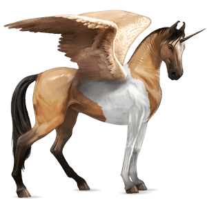 winged riding unicorn dun tobiano