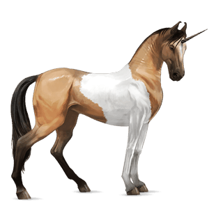 riding unicorn marwari dun tobiano