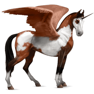 winged riding unicorn mustang black