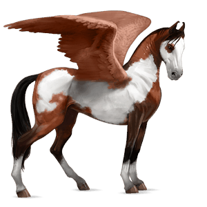 riding pegasus lusitano cherry bay