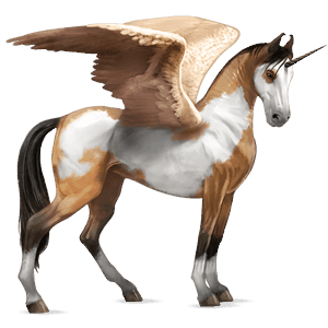 winged riding unicorn dun tobiano