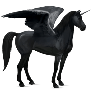 winged riding unicorn black