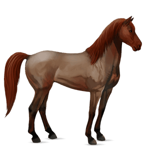 riding horse paint horse chestnut tobiano