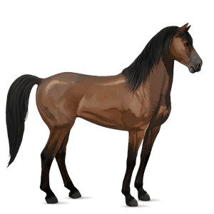 riding horse quarter horse flaxen chestnut 