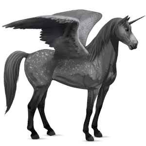 winged riding unicorn arabian horse dapple gray