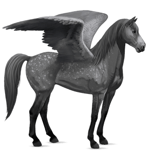 riding pegasus akhal-teke dapple gray