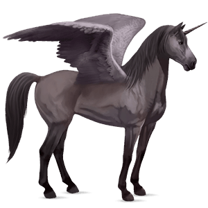 winged riding unicorn black