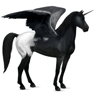 winged riding unicorn mustang black blanket 