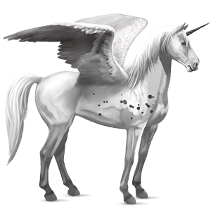 winged riding unicorn few spots