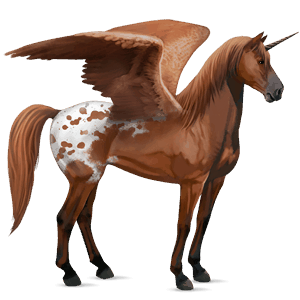 winged riding unicorn appaloosa chestnut spotted blanket 