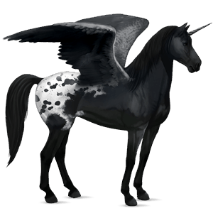 winged riding unicorn black