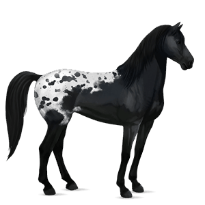 riding horse thoroughbred chestnut