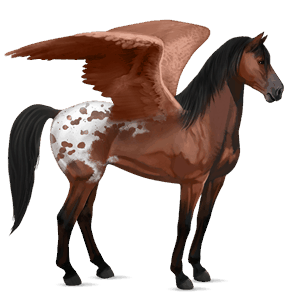 riding pegasus mustang cherry spotted blanket