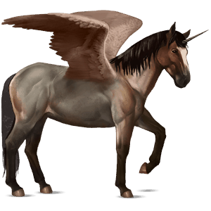 winged riding unicorn chestnut overo