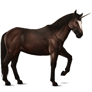 riding unicorn nokota dark bay