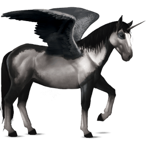 winged riding unicorn kwpn black