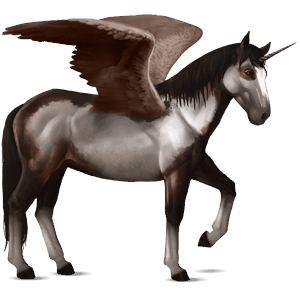 winged riding unicorn dark bay overo