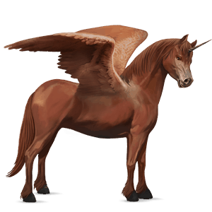 winged unicorn pony  newfoundland pony chestnut