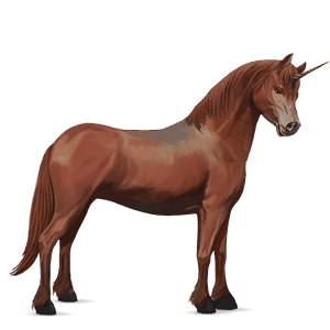 unicorn pony quarter pony chestnut
