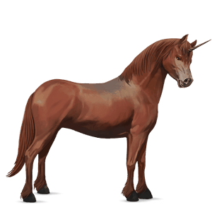 unicorn pony australian pony chestnut