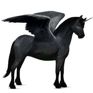 winged unicorn pony  welsh black