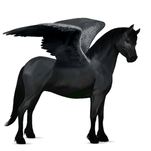 pegasus pony shetland dark bay