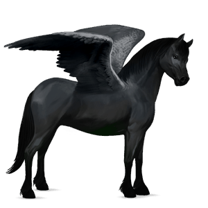 pegasus pony dapple gray