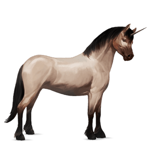 unicorn pony australian pony liver chestnut