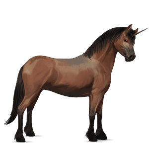unicorn pony newfoundland pony bay